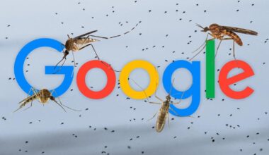 Google wants to release 32,000,000 infected mosquitoes into the wild | News Tech