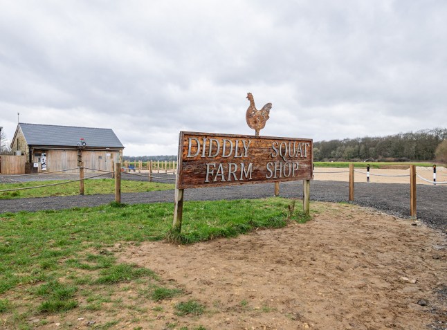 Mandatory Credit: Photo by Joan Wakeham/Shutterstock (14334725g) While the 70 space car park is nearing completion at Jeremy Clarkson's Diddly Squat farm in Chipping Norton The TV presenter has found himself in another tussle with his local council, this time over plans to plant trees to soft landscape the area. The dispute comes as the latest in a series of confrontations with the West Oxfordshire District Council since Clarkson took over the farm in 2019, this time they are asking him to scale back the planting and he has forwarded a revised planting scheme for approval. Meanwhile the shop is temporarily closed over the winter months, except for the milk machine and online orders, and will reopen on March 1st. New Car Park at Diddly Squat Farm Shop, Chipping Norton, Oxfordshire, UK - 05 Feb 2024