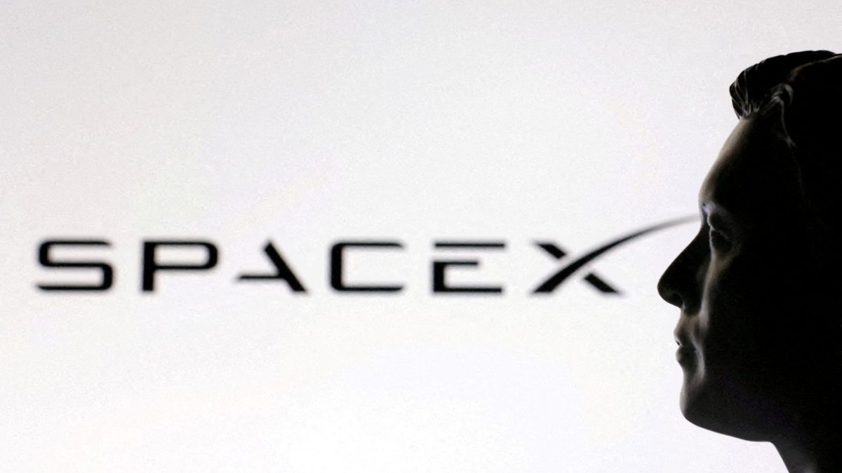 FILE PHOTO: A 3D-printed miniature model of Elon Musk and a SpaceX logo are seen in this illustration created on January 23, 2025. REUTERS/Dado Ruvic/File Photo