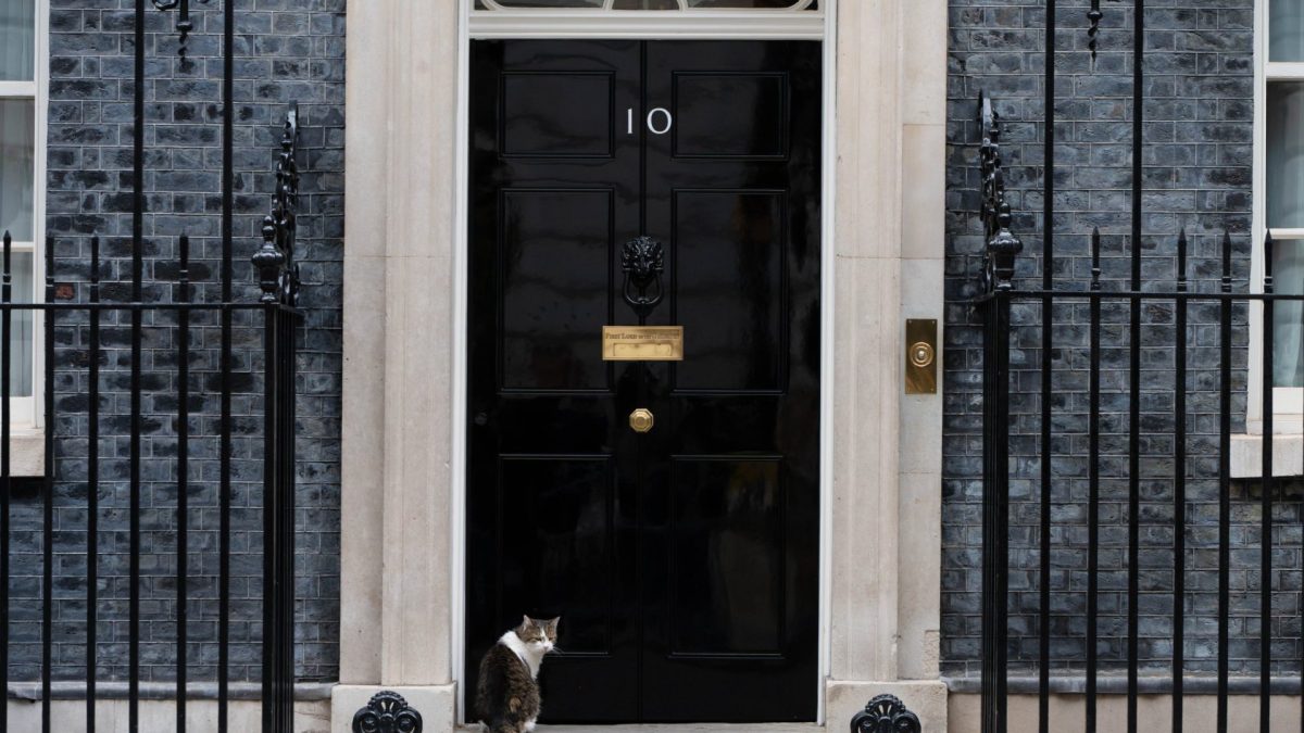 LONDON, UNITED KINGDOM - JUNE 12: Larry the cat, the Chief Mouser to the Cabinet Office, is seen outside 10 Downing Street in central London, United Kingdom on June 12, 2026. (Photo by Thomas Krych/Anadolu via Getty Images)