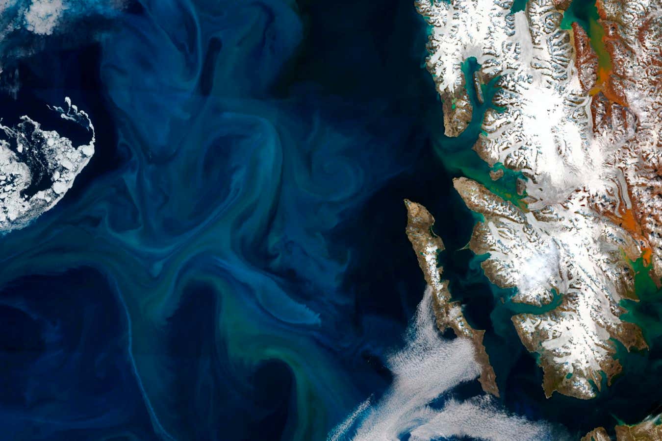 Arctic Ocean reaches tipping point that could be dire for marine life