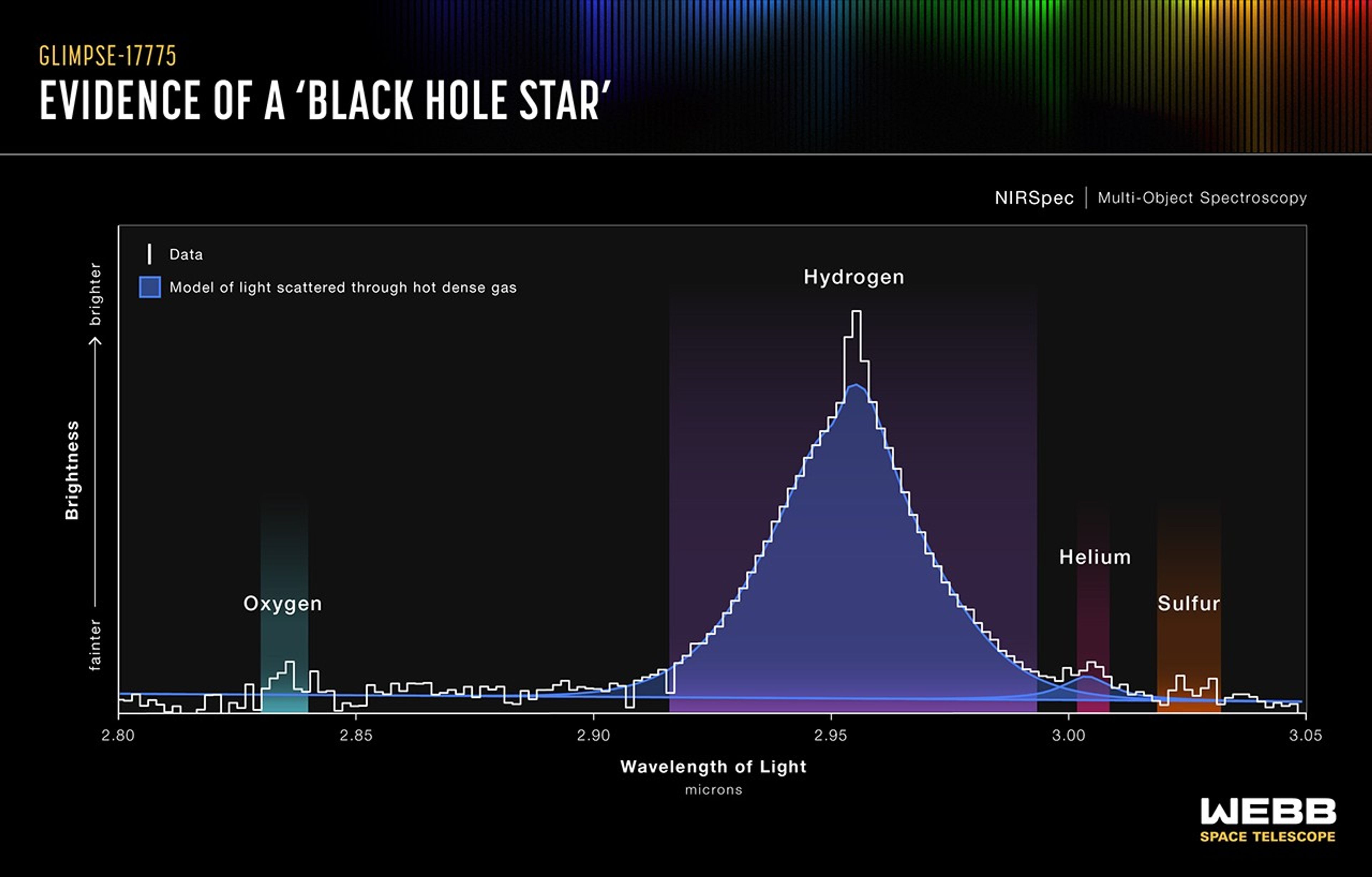 Graphic titled “GLIMPSE-17775, Evidence of a ‘Black Hole Star, NIRSpec, Multi-Object Spectroscopy’” shows a graph of amount of light blocked on the y-axis versus wavelength of light, microns. The bottom of the y-axis is labeled “fainter,” and the top is labeled “brighter.” The x-axis starts with 2.80 microns at left and continues in increments of five, ending with 3.05 microns at right. A key at top left has a white line labeled “Data” and a small blue square labeled “Model of light scattered through hot dense gas.” The white data line is stepped with a large bell-like curve that peaks at 2.95 microns. It is labeled “hydrogen” and highlighted by a semi-transparent purple. The data also forms small peaks highlighted with different colors: around 2.84 microns, oxygen, green; 3.0 microns, helium, red; and 3.02 microns, sulfur, orange. The blue filling, representing the model, approximately fills the bell-like curve that marks hydrogen. A smaller peak of blue also approximately fills the data’s peak of helium.
