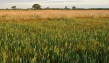 Council backs UNESCO Biosphere Reserve plans for Nottinghamshire