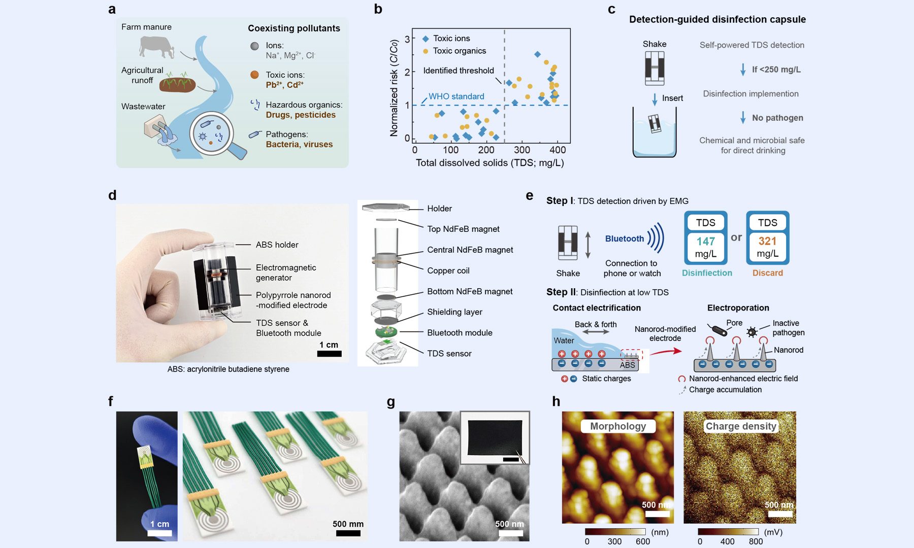 Self-powered floating capsule for decentralized water detection and disinfection