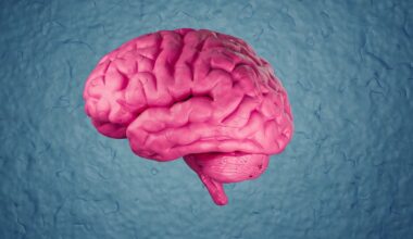 A Single Lifestyle Change Could Lower Your Risk of Dementia by 16% : ScienceAlert