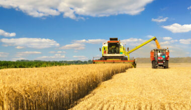 Agricultural prices decreased in Q1 2026 - News articles