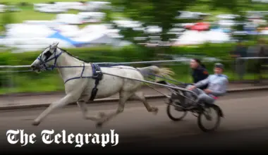 Police to use AI facial recognition at Appleby Horse Fair