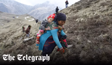 The deadly treasure hunt for Himalayan Viagra - The Telegraph