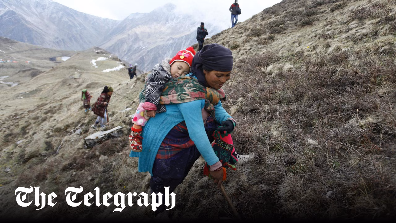 The deadly treasure hunt for Himalayan Viagra - The Telegraph