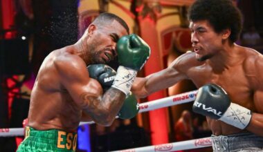 Wilkens Mathieu evokes memories of Kelly Pavlik with Falcao KO