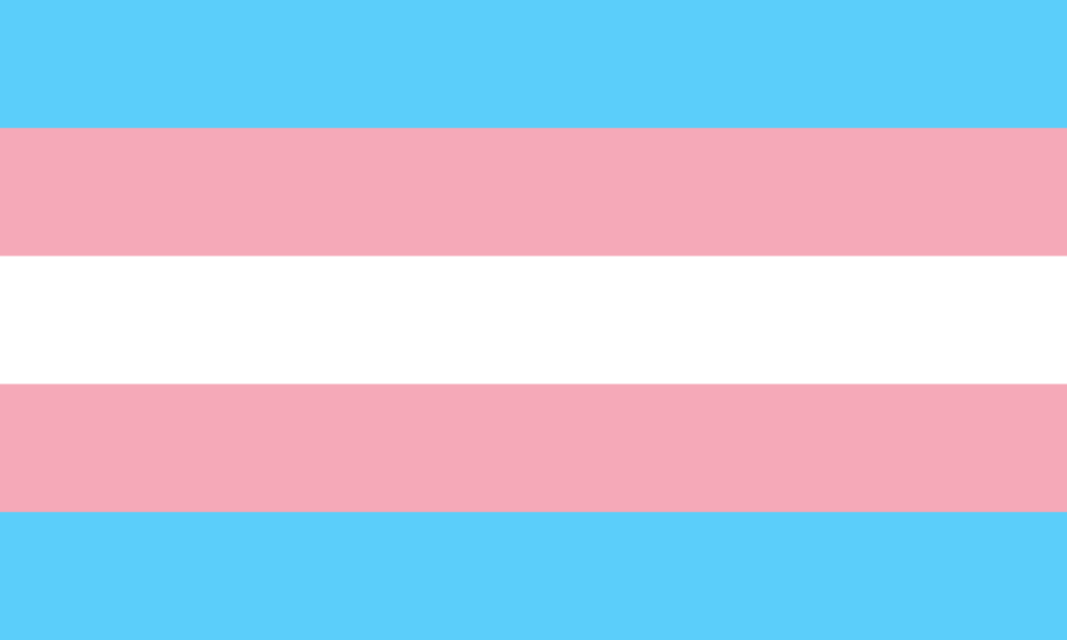 Statement on the Anti-Trans and Anti-Intersex EHRC Code of Practice in the United Kingdom