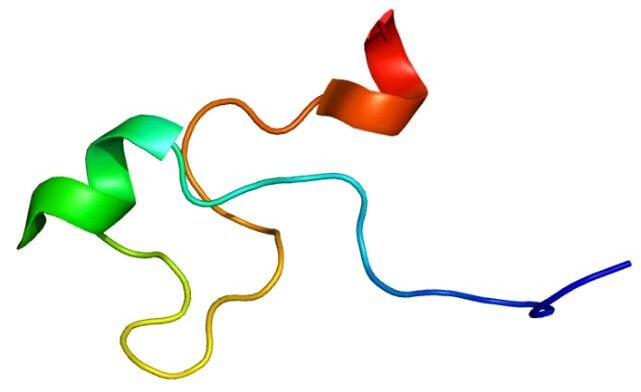 An Andy-Aging Protein May Eventually Help Reverse Some of The Effects of Aging