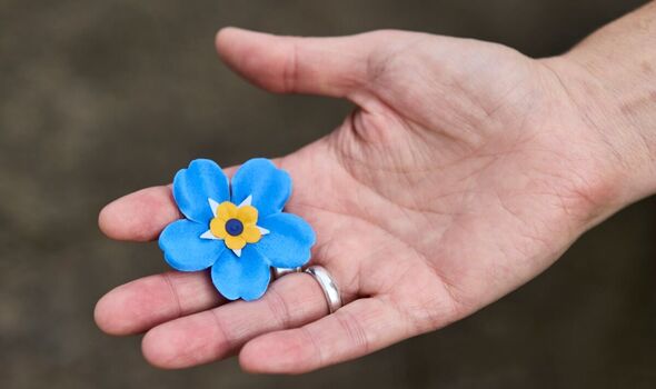 The forget-me-not The forget-me-not