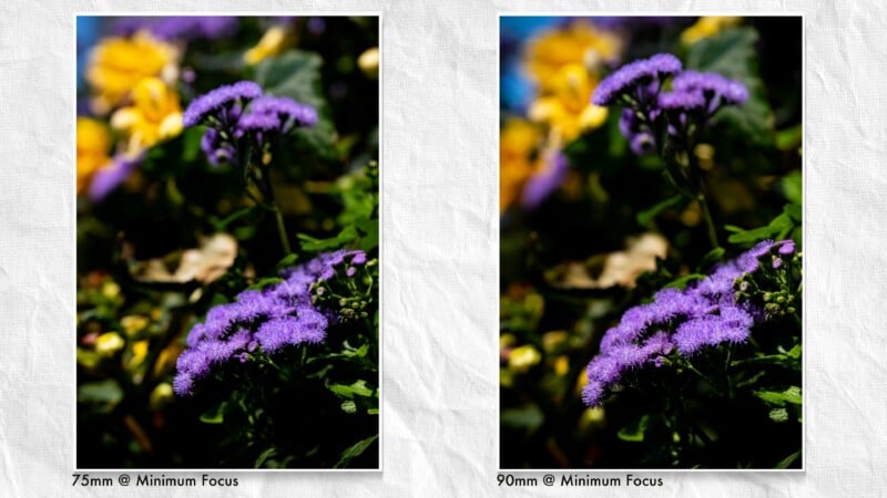 Side-by-side photos of purple flowers against green leaves and yellow blooms. The left image is shot at 75mm minimum focus; the right at 90mm minimum focus, showing subtle differences in focus and background blur.