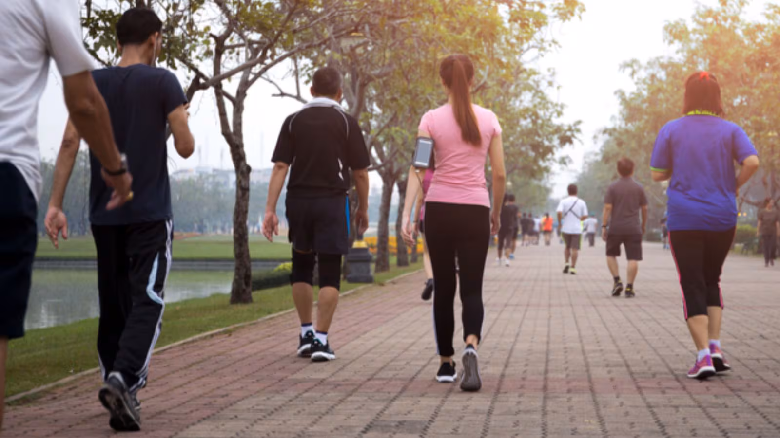 Adults should walk around 10,000 steps daily for optimal health. Adults should walk around 10,000 steps daily for optimal health.