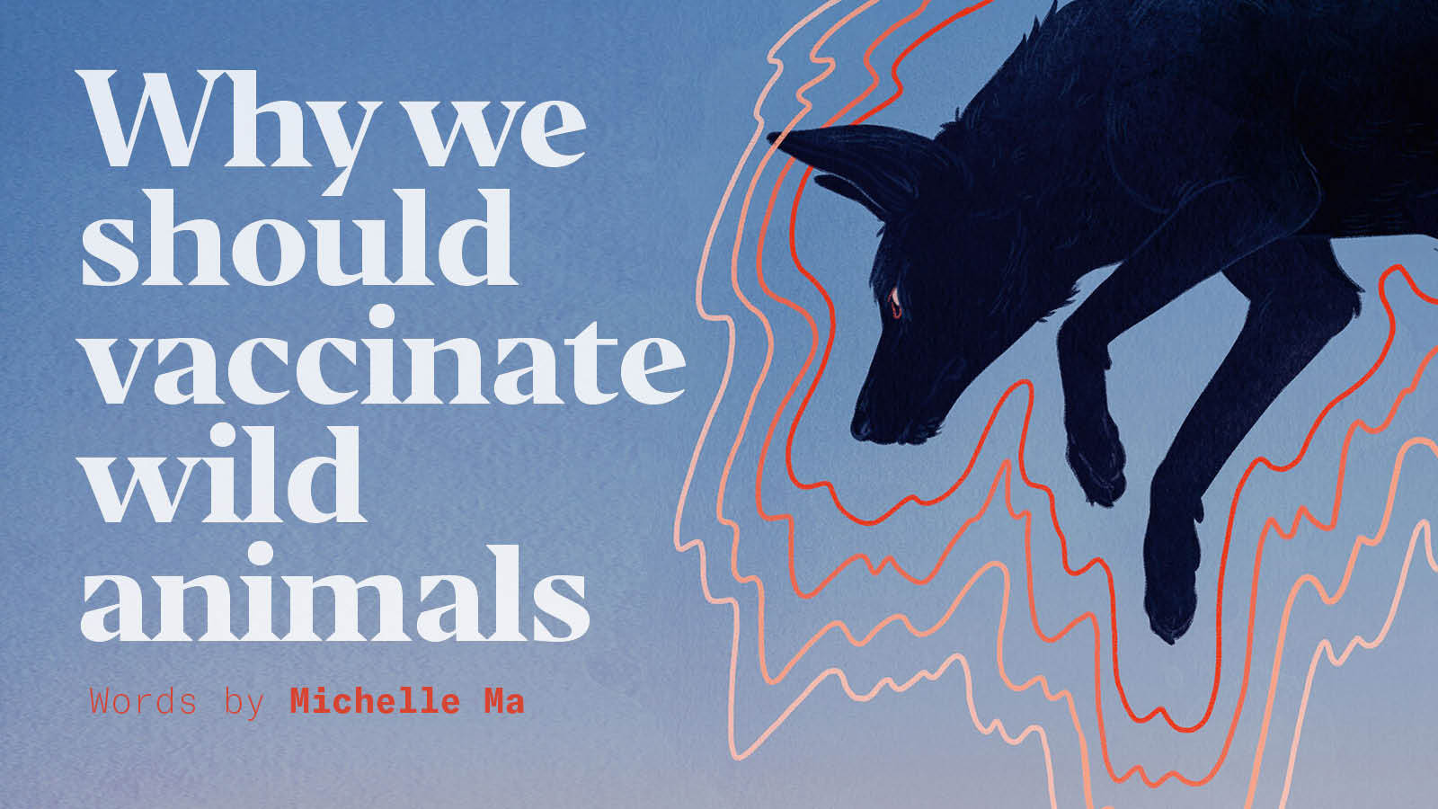 Why we should vaccinate wild animals