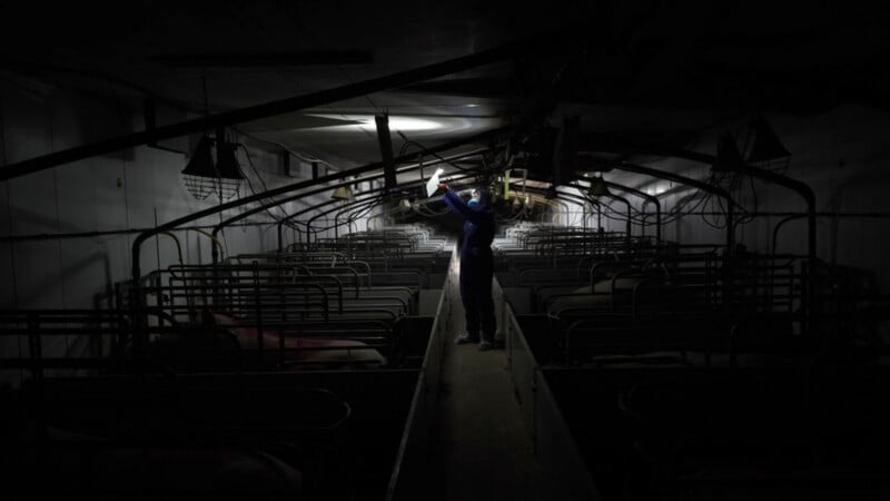 A person wearing a mask and headlamp inspects the ceiling inside a dark, empty livestock barn with metal pens on both sides.