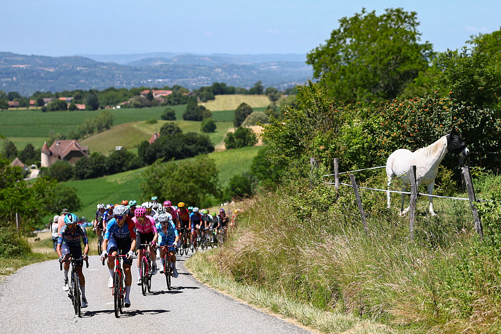 The pack of riders (peloton) cycle past a horse along the roadside during the 7th stage of the Tour Auvergne-Rhone-Alpes cycling race (formerly known as the Criterium du Dauphine), 133,6km between La Bridoire and Grand Colombier in the French Alps on June 13, 2026. (Photo by Anne-Christine POUJOULAT / AFP)