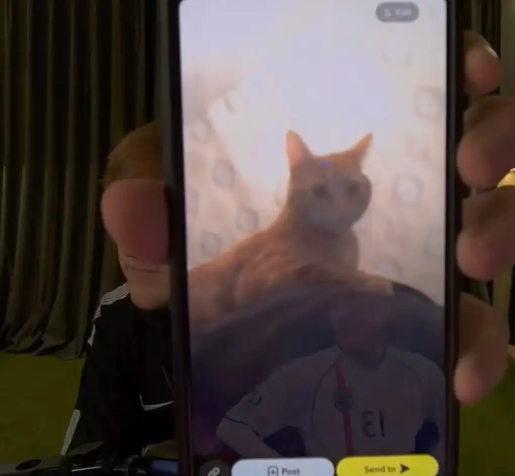 He also shared a picture of his cat Simba (TikTok/@angrygingeh13)