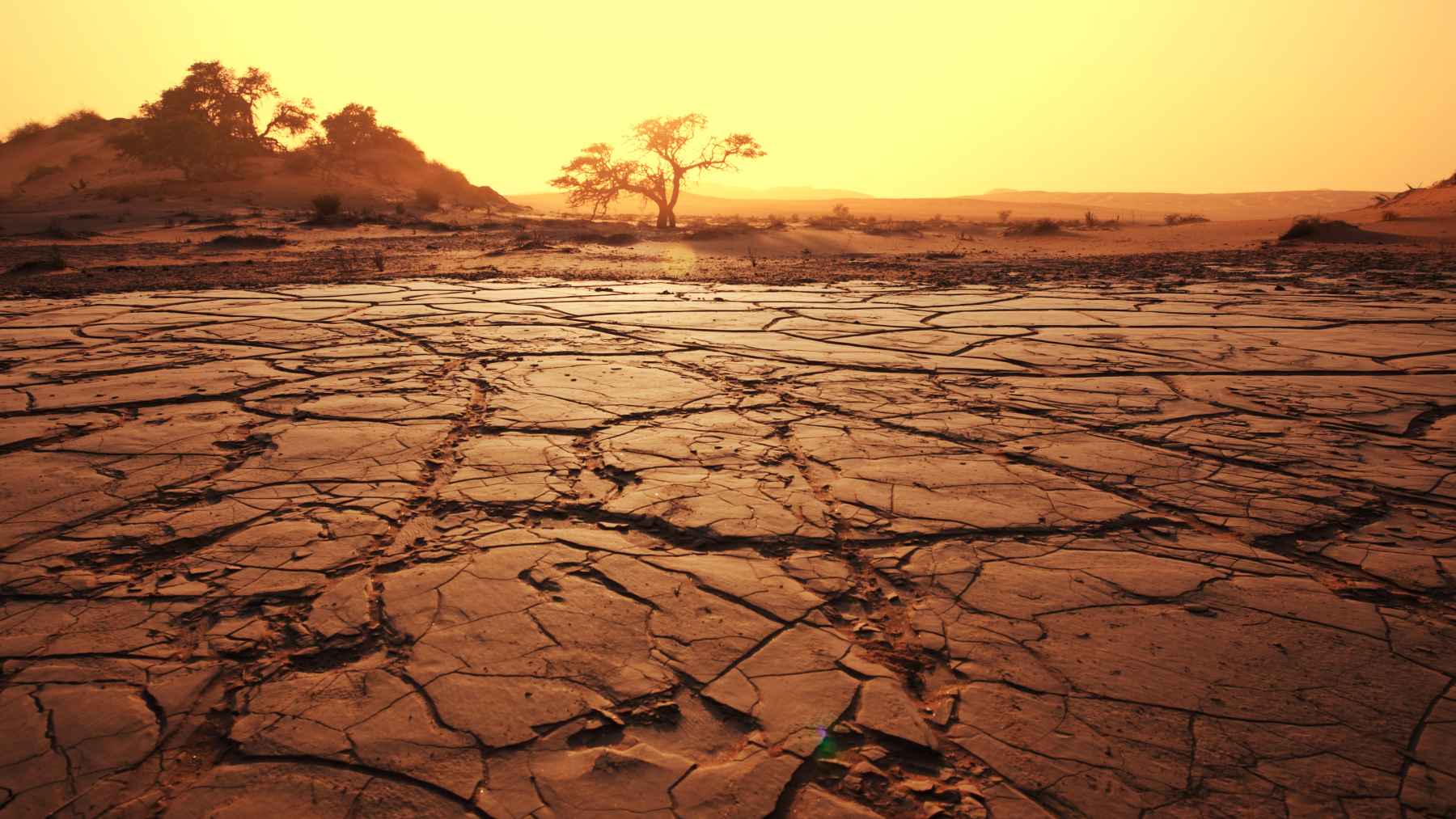 Cracked dry earth at sunset symbolizing AI water use, data center cooling demand, and growing drought concerns.