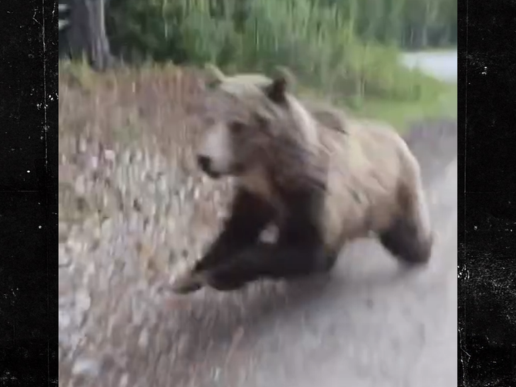 062626 bear standoff SG3