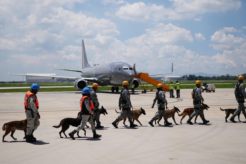rescue workers with dogs walk across a tarmac