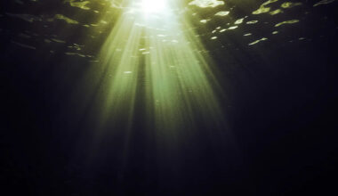 Scientists Have Detected Something Deeply Alarming at the Bottom of the Ocean