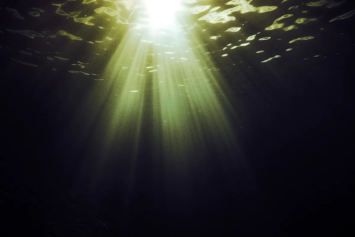 Scientists Have Detected Something Deeply Alarming at the Bottom of the Ocean