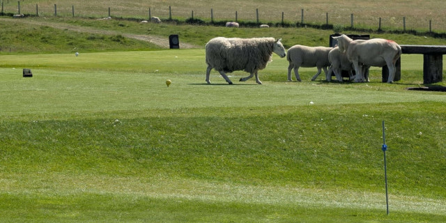 Brora Golf Club