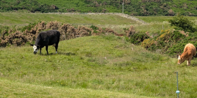 Brora Golf Club