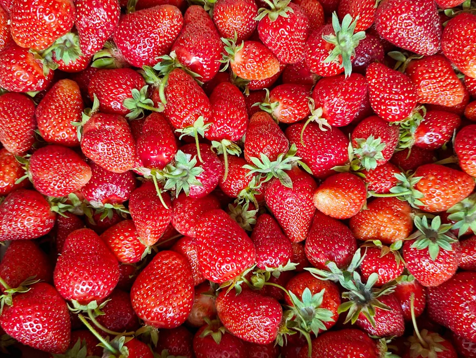 Full frame texture of fresh red strawberries with green leaves. Top view closeup of ripe juicy summer berries background, healthy organic food concept.