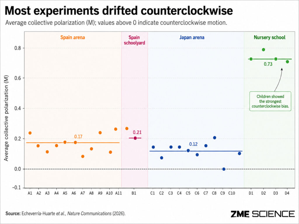 Graph showing how movement is biased toward counterclockwise motion