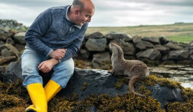 Celebrities drawn to tears as much-loved otter film makes Gogglebox