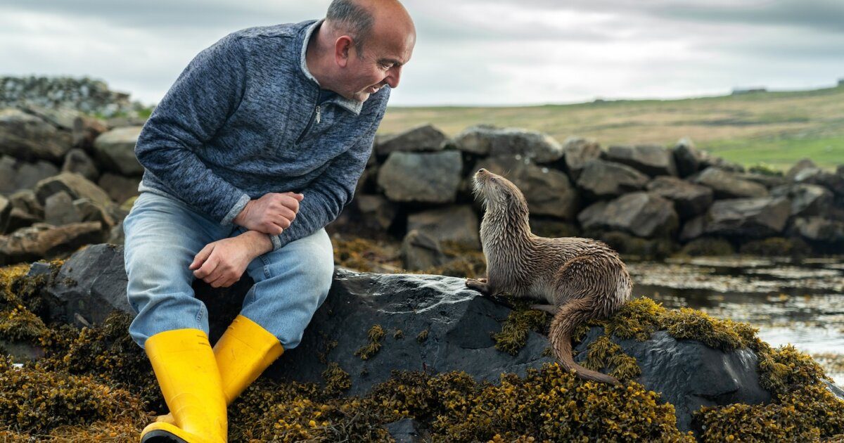 Celebrities drawn to tears as much-loved otter film makes Gogglebox