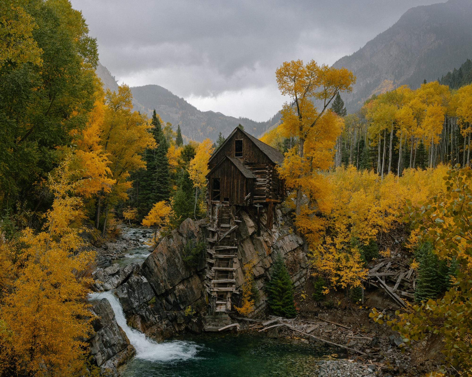 a photograph by Brendon Burton of a treehouse oi the lush forest