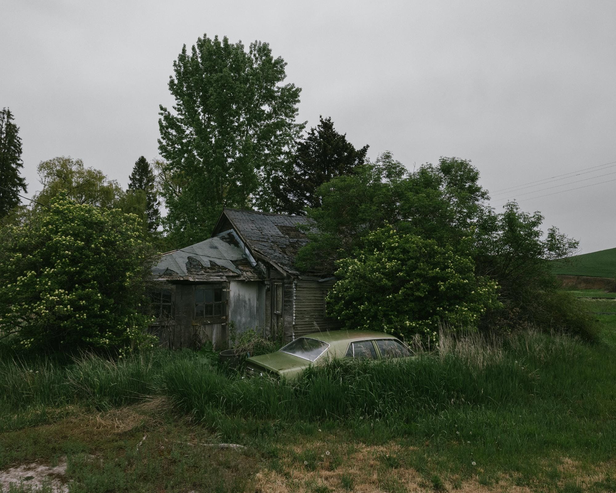 a photograph by Brendon Burton of an abandoned house and car visibly consumed by the vegetation around it