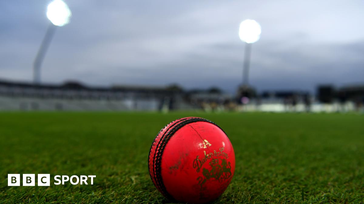 Image of a pink ball at the boundary edge, beneath floodlights