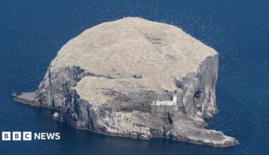 A large island rock with a lighthouse to the front, covered in white birds.