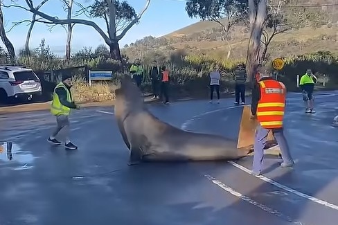 Two people attempt to force a seal off a road.