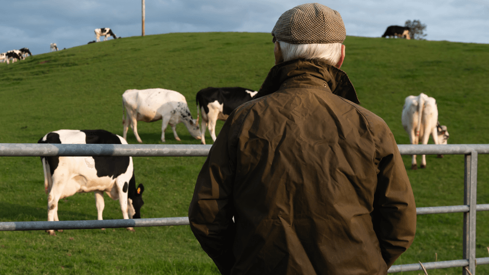 Cattle farmer
