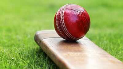 Double hat-trick! 9-year-old Rohan takes six wickets in an over, scripts rare feat