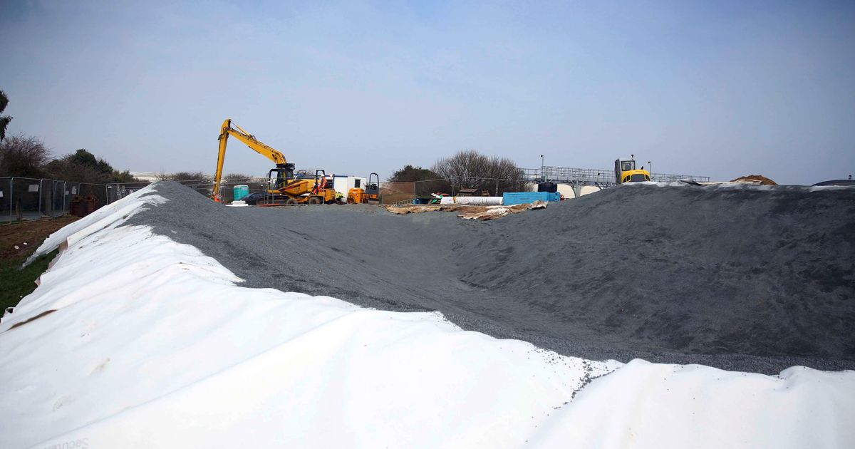Mixed fortunes for States trading entities in 2025
