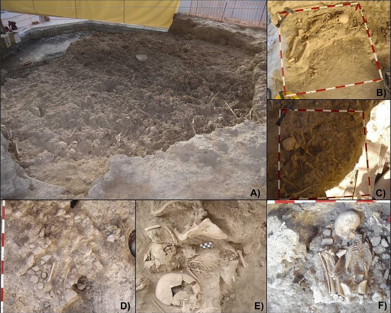 Copper Age children in Spain suffered widespread respiratory disease, skeletal study suggests