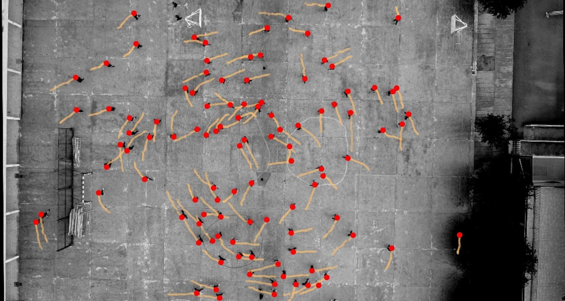 Strange Walking Experiment Found That Almost Everyone, Alone or in Crowds, Keeps Turning Counterclockwise