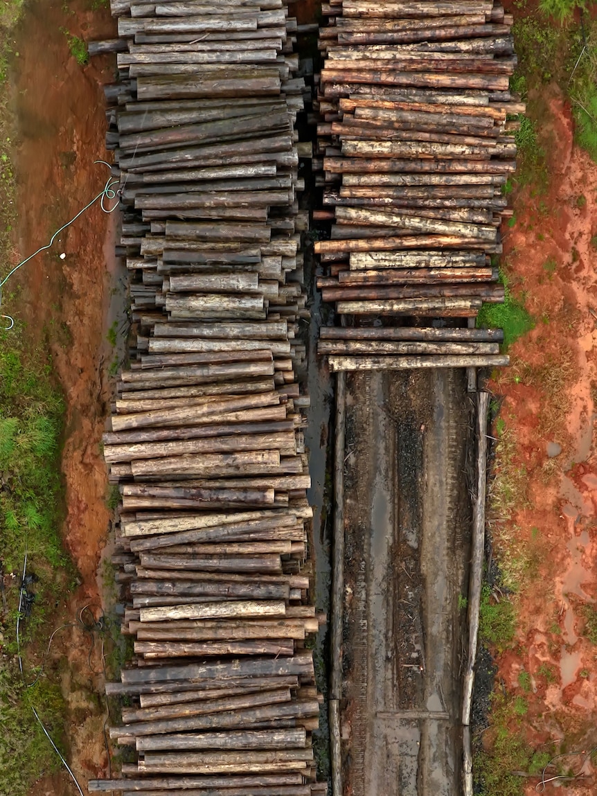 A birds-eye view picture of two rows of dozens of logs pilled up.