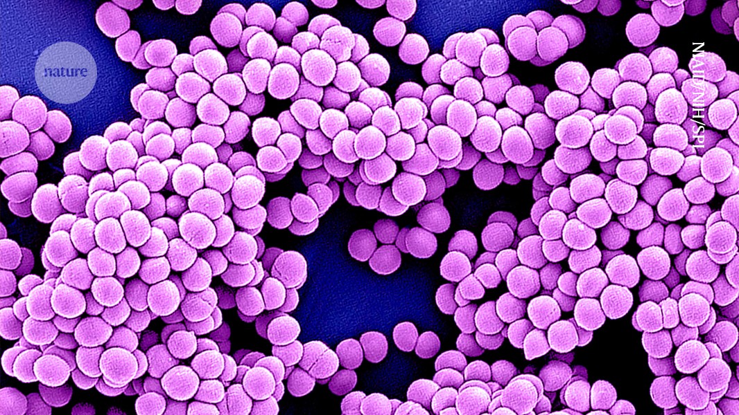 AI is taking on antibiotic resistance — here’s how