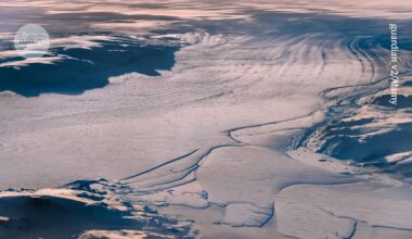 Rocks falling from melting icebergs host deep-sea oases of biodiversity