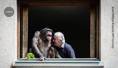 Oo oo, ha ha: why humans and great apes giggle alike when tickled