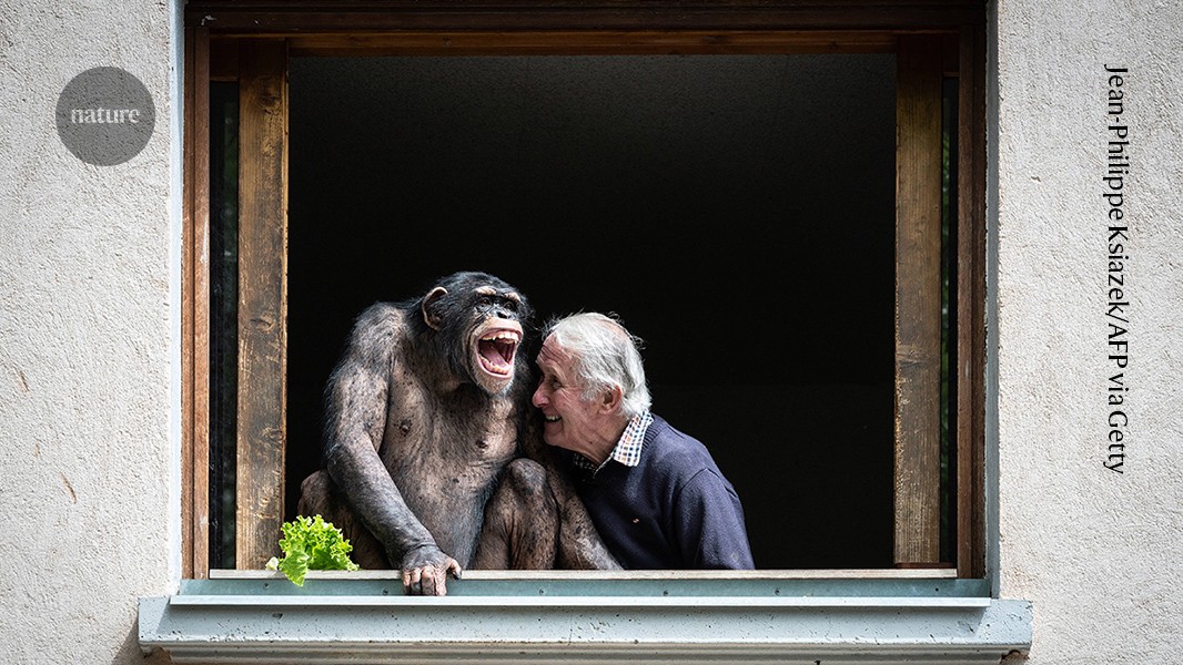 Oo oo, ha ha: why humans and great apes giggle alike when tickled
