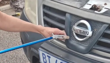 Video shows snake handler pulling venomous cobra from a car after man drove around with it